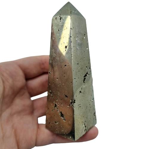 340120938_901786647558695_543558476204318059_n