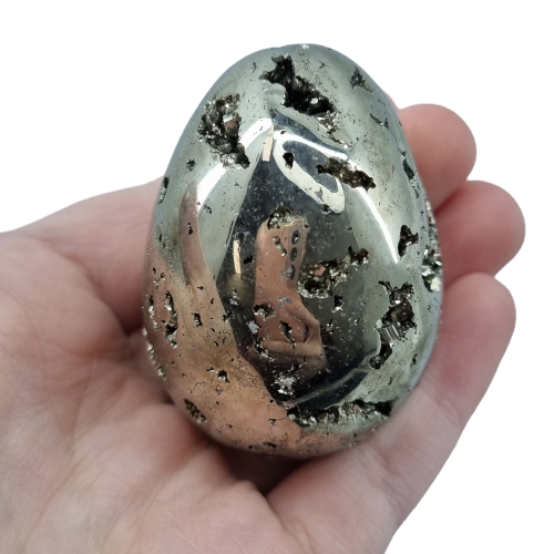 343098098_1636078910200990_6452386618690148312_n