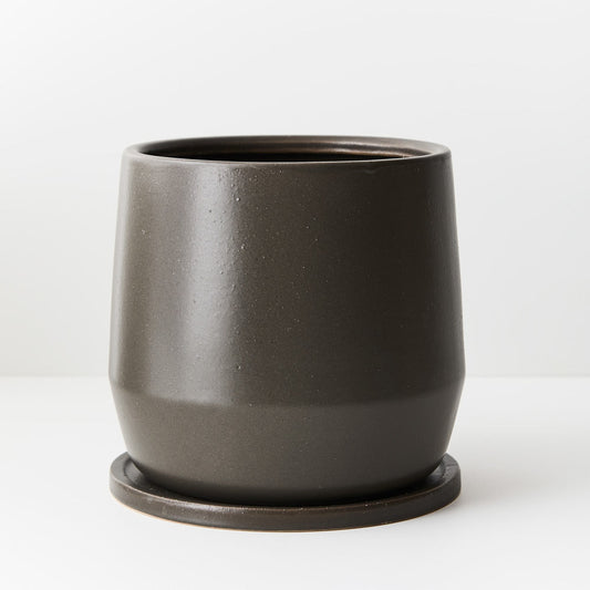 Eliza Pot in Liquorice
