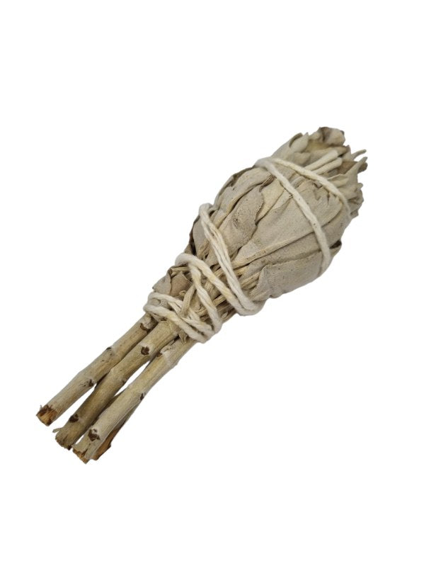 Organic-White-Sage-Smudge-Torch