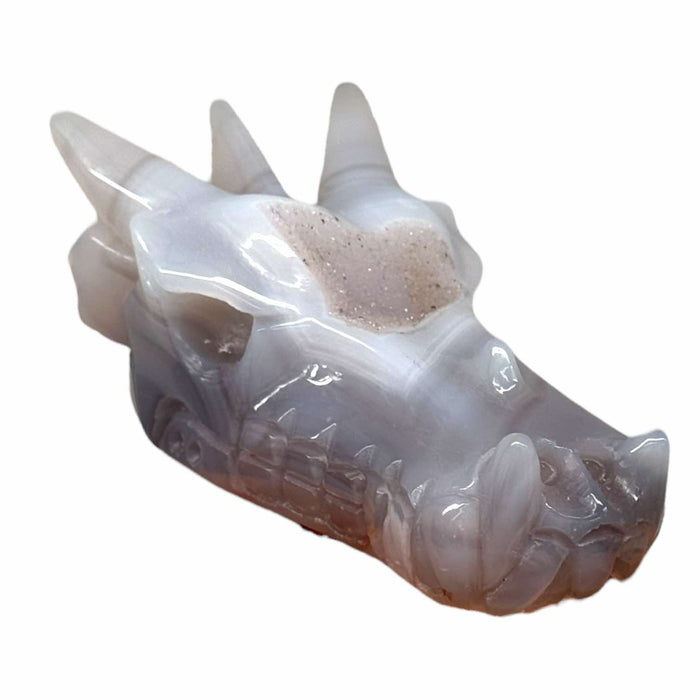 Agate Druzy Dragon Skull