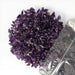 Amethyst Chips