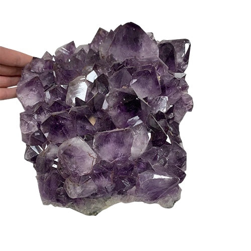 Kindred Crystal Collective — Amethyst Cluster, overhead view of large natural amethyst cluster showing full coverage of deep violet quartz crystal points, 4833g