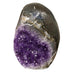 Kindred Crystal Collective — Amethyst Geode, front view of natural amethyst geode cavity showing dense rich violet quartz crystal points and natural outer shell