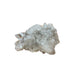 Apophyllite crystal cluster close-up showing translucent light-reflecting formations, a high-vibration healing crystal for meditation and intention setting