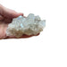 Apophyllite cluster catching light across brilliant clear crystal points, a stunning natural formation for spiritual connection and elevated energy