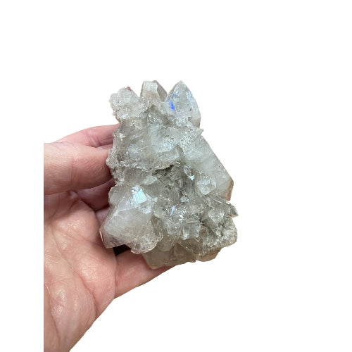 Apophyllite cluster catching light across brilliant clear crystal points, a stunning natural formation for spiritual connection and elevated energy
