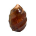 Kindred Crystal Collective — Carnelian Flame, polished faceted Carnelian flame carving showing rich burnt orange to amber translucency and sculptural asymmetric silhouette, white background
