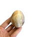 Kindred Crystal Collective — Chalcedony Egg, polished cream and honey-yellow stone egg with pale bands and grey-brown detail held between fingers against a white background.