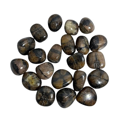Kindred Crystal Collective — Chiastolite Tumble Stone, dark brown and black andalusite with natural cross formation, 200g pack of 1.5–2cm polished tumbles