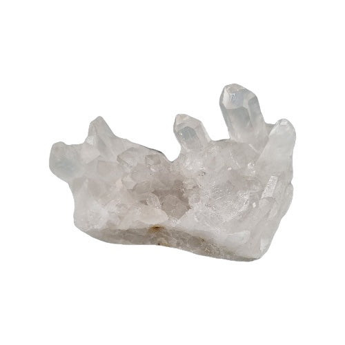 Natural clear quartz cluster with multiple transparent points radiating from shared base, for energy amplification, clarity and manifestation