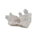 Natural clear quartz cluster with multiple transparent points radiating from shared base, for energy amplification, clarity and manifestation