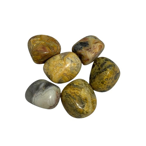 Kindred Crystal Collective - Six polished Crazy Lace Agate tumbled stones showing warm gold, ochre, cream and grey swirling lace-like patterning.