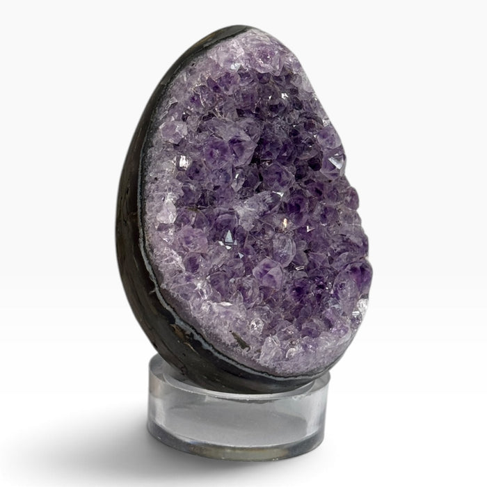 Kindred Crystal Collective — Druzy Amethyst Cluster Egg, egg-shaped stone with sparkling lilac and purple crystal points, a dark outer edge and a clear display stand.