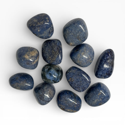 Kindred Crystal Collective — Dumortierite Tumbled Stones, twelve polished mid-blue to denim-blue Dumortierite tumbles showing granular surface texture and natural mineral inclusions, white background