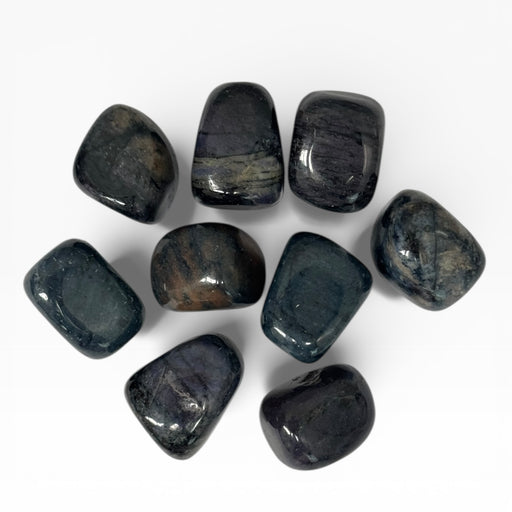 Kindred Crystal Collective — Dark Dumortierite Tumbled Stones, nine polished deep navy to indigo-black Dumortierite tumbles showing high-gloss finish and subtle fibrous internal structure, white background