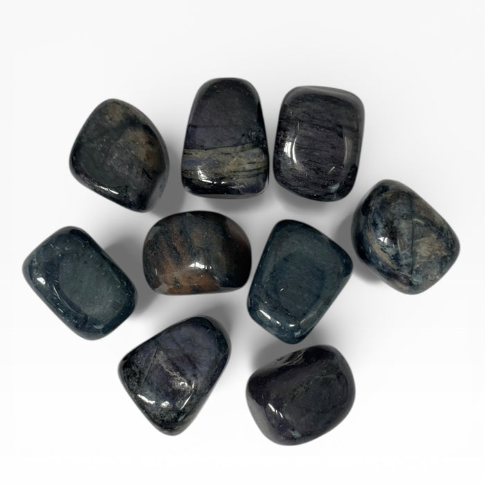 Kindred Crystal Collective — Dark Dumortierite Tumbled Stones, nine polished deep navy to indigo-black Dumortierite tumbles showing high-gloss finish and subtle fibrous internal structure, white background