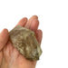 Kindred Crystal Collective — Elestial Quartz Cluster variant 1, raw smoky elestial quartz specimen, size reference held in open palm
