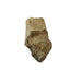 Kindred Crystal Collective — Elestial Quartz Cluster, raw smoky golden-brown elestial quartz point with complex multi-terminated surface, variant 2, white background