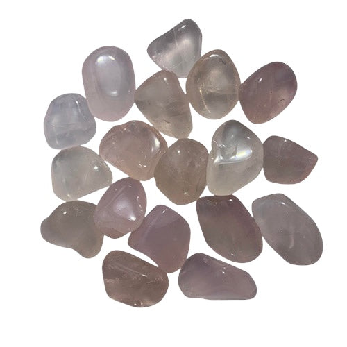 Kindred Crystal Collective — Girasol Pink Tumbled 2–3cm, soft milky pink girasol quartz tumbled stone with gentle internal glow on white background