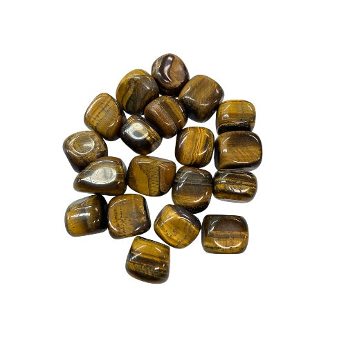 Kindred Crystal Collective — Gold Tiger Eye Tumbled Stones, sixteen polished warm golden-brown Tiger Eye tumbles showing silky chatoyant banding with high-gloss finish, white background