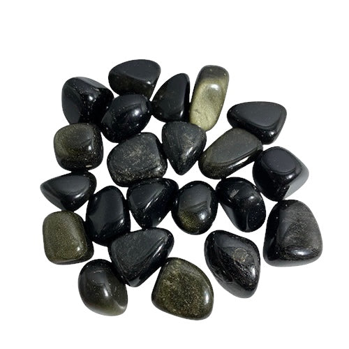 Kindred Crystal Collective — Golden Sheen Obsidian Tumbled 1–2.5cm, deep black obsidian tumbled stone with golden iridescent sheen on white background