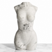 Kindred Crystal Collective — Howlite Female Body Carving, matte natural Howlite goddess figurine with bold grey-black veining displayed front-facing on white marble surface
