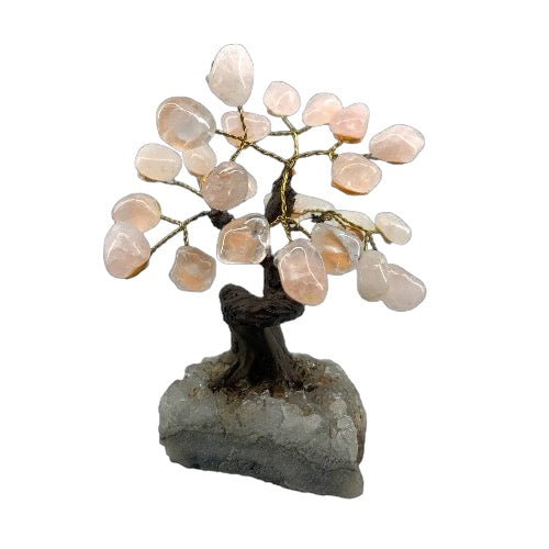 Rose Quartz Gem Tree on Cluster Base - Polished