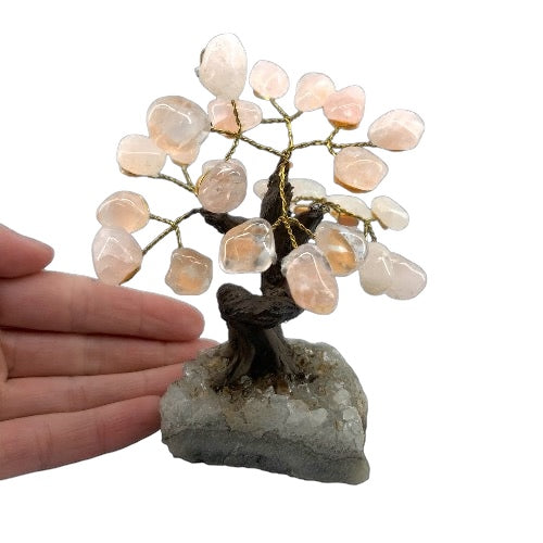Rose Quartz Gem Tree on Cluster Base - Polished