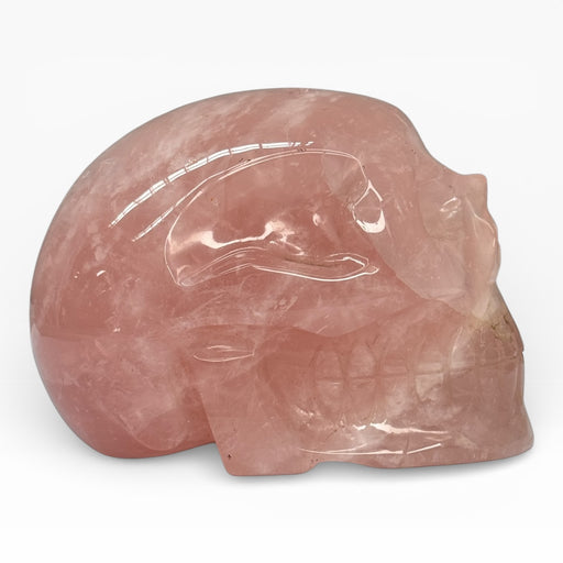 Rose Quartz Skull