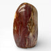 Petrified Wood Polished Freeform