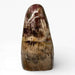 Petrified Wood Polished Freeform