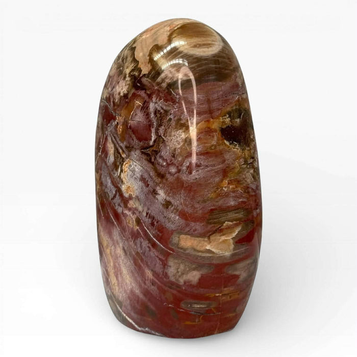 Petrified Wood Free Form