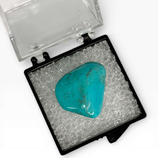 Arizona Turquoise Drilled Cabachon