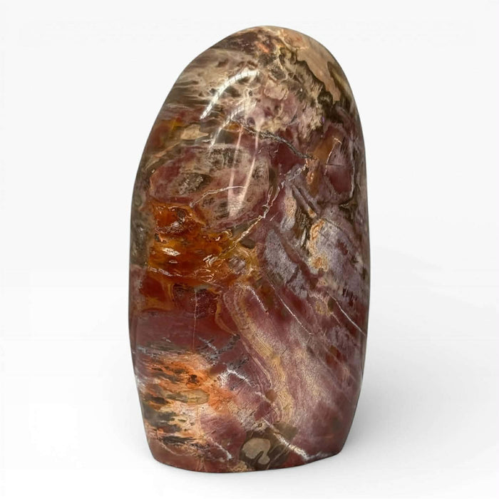 Petrified Wood Free Form