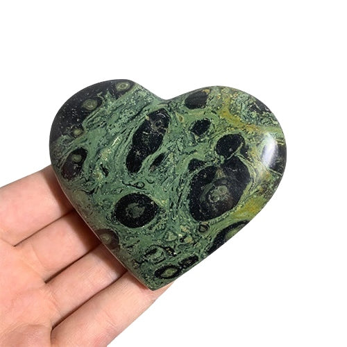 Kindred Crystal Collective — Kambaba Jasper Heart, hand-held polished Kambaba Jasper heart showing striking black circular orbs and swirling dark green matrix, size reference