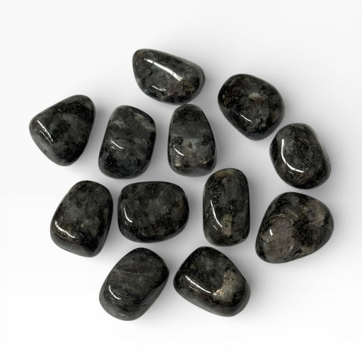 Kindred Crystal Collective — Larvikite Tumbled Stones, pile of polished dark charcoal-grey Larvikite tumbles showing coarse-grained feldspar crystal mosaic surface with high-gloss finish, white background