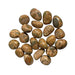 Kindred Crystal Collective — Leopard Skin Jasper Tumbled 2–2.5cm, cream tan and brown spotted leopard skin jasper tumbled stone on white background