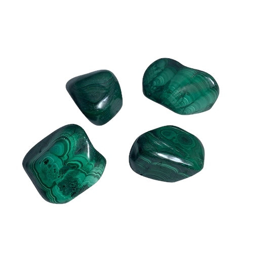 Kindred Crystal Collective - Four polished Malachite tumbled stones displaying rich deep green colouring with distinctive banded and concentric patterning.