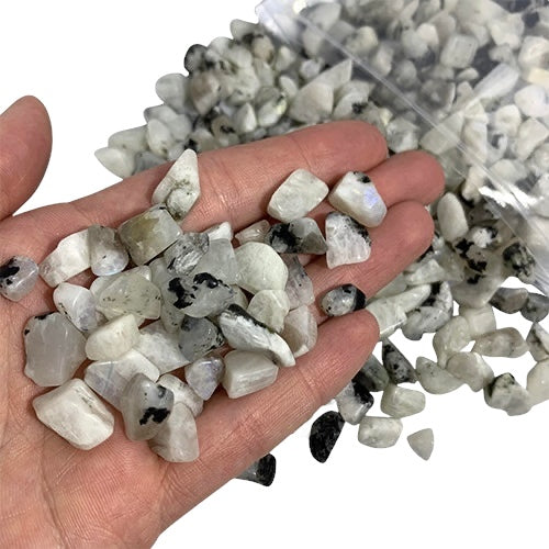 Kindred Crystal Collective — Rainbow Moonstone Chips 500g, white translucent moonstone chips with iridescent blue and rainbow flash in a clear bag on white background