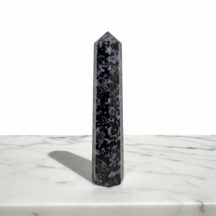 Kindred Crystal Collective — Mystic Merlinite Generator, polished black and grey mottled indigo gabbro generator point, front view on white background