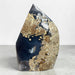 Kindred Crystal Collective — Natural Agate Flame, polished flame-shaped agate with warm honey, rust, grey, and ivory banding, 17x12cm