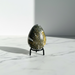 Kindred Crystal Collective — Ocean Jasper Egg, polished green and golden-yellow ocean jasper egg with orbicular spotting