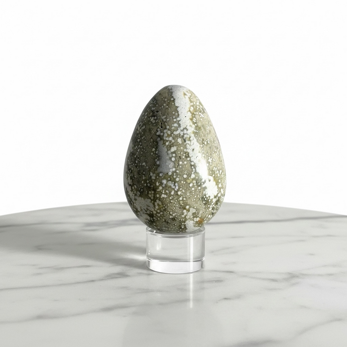 Kindred Crystal Collective — Ocean Jasper Egg, polished earthy green and white orbicular ocean jasper egg