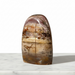 Petrified Wood Polished Freeform - Natural Brown Fossil Crystal Display Piece | Kindred Crystal Collective