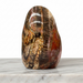 Petrified Wood Polished Freeform - 250 Million Year Old Fossil Crystal | Kindred Crystal Collective