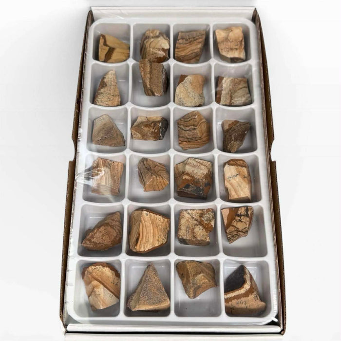 Kindred Crystal Collective — Picture Jasper Rough Boxed, 24 raw picture jasper rough pieces with sandy-brown landscape banding in individual compartment retail display box, top view