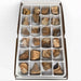 Kindred Crystal Collective — Picture Jasper Rough Boxed, 24 raw picture jasper rough pieces with sandy-brown landscape banding in individual compartment retail display box, top view