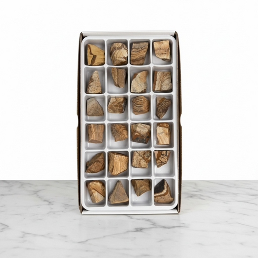 Kindred Crystal Collective — Picture Jasper Rough Boxed, 24 raw picture jasper rough pieces with sandy-brown landscape banding in individual compartment retail display box,