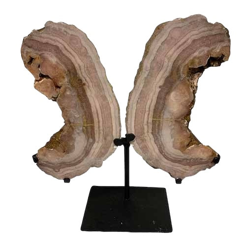 Kindred Crystal Collective — Pink Amethyst Wings, natural pink amethyst wing pair with soft blush druzy crystal surface on black metal display stands, 42cm tall